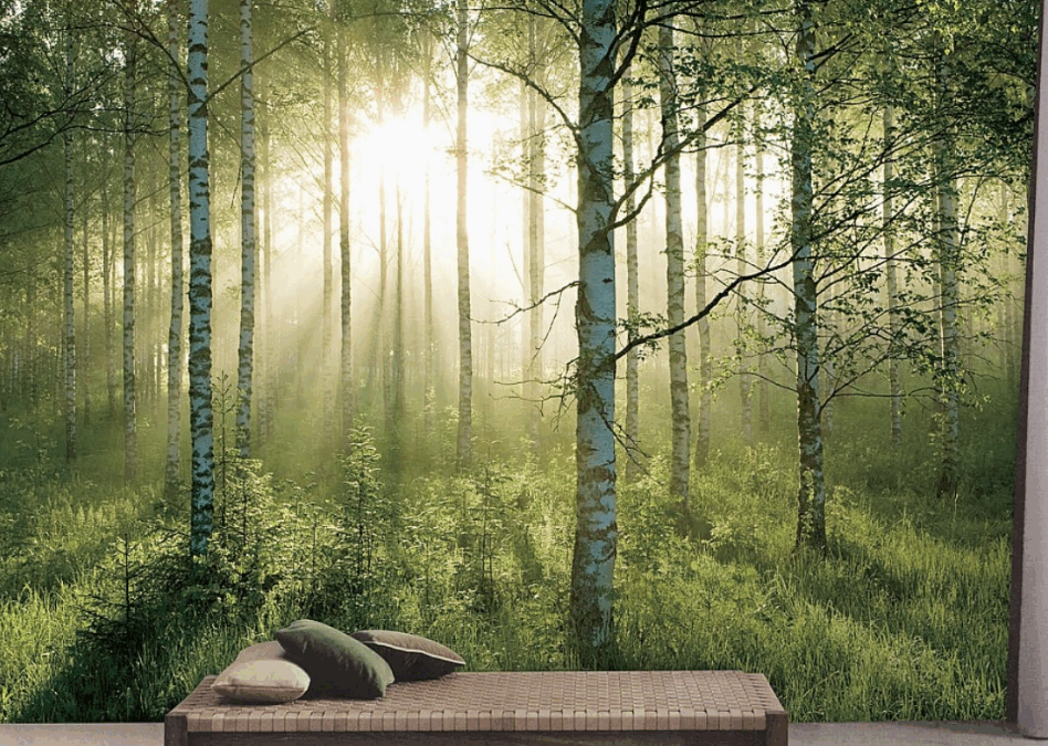 How to Create Mental Calm in A Busy Space